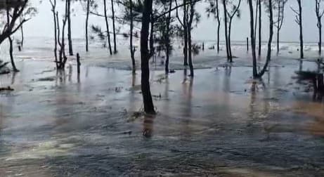Odisha: Tidal Surge Breaches Coastline At Siali Beach, Triggers Panic In Jagatsinghpur