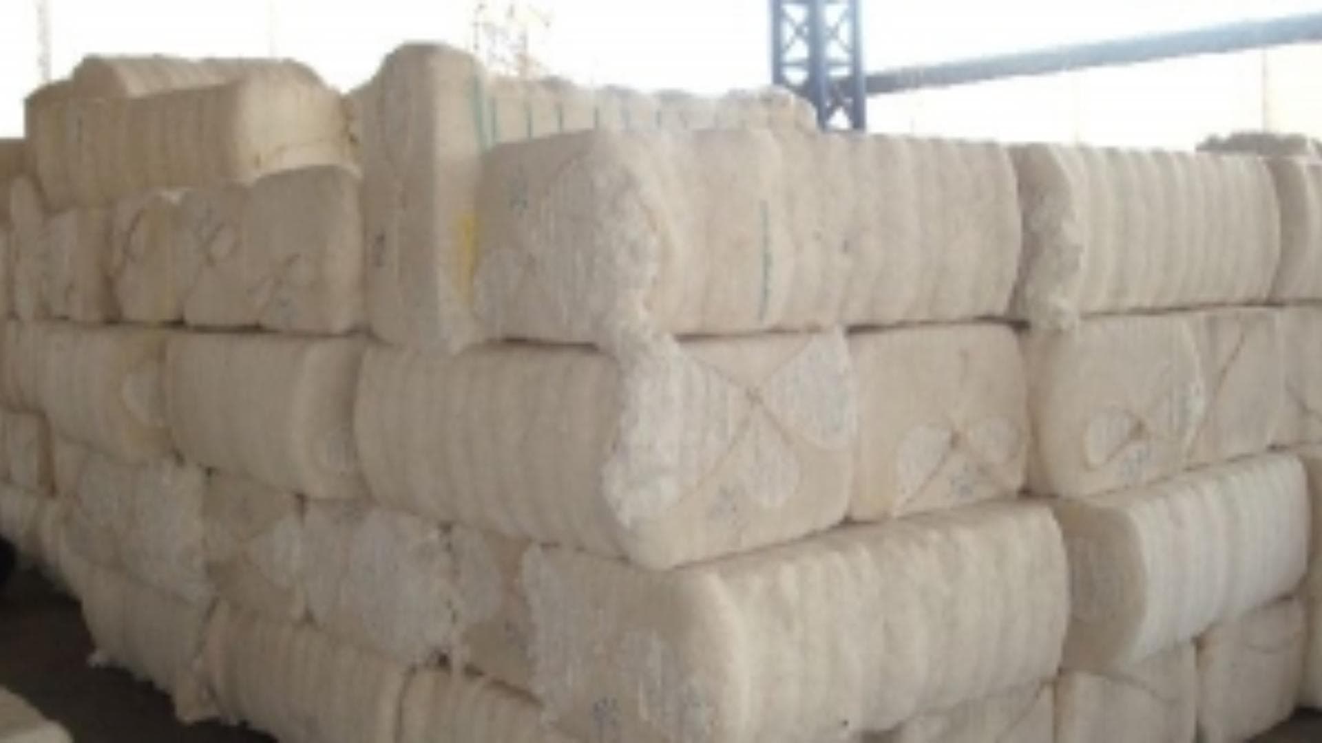 'Misleading': APEDA Rejects Allegations On Organic Cotton Certification