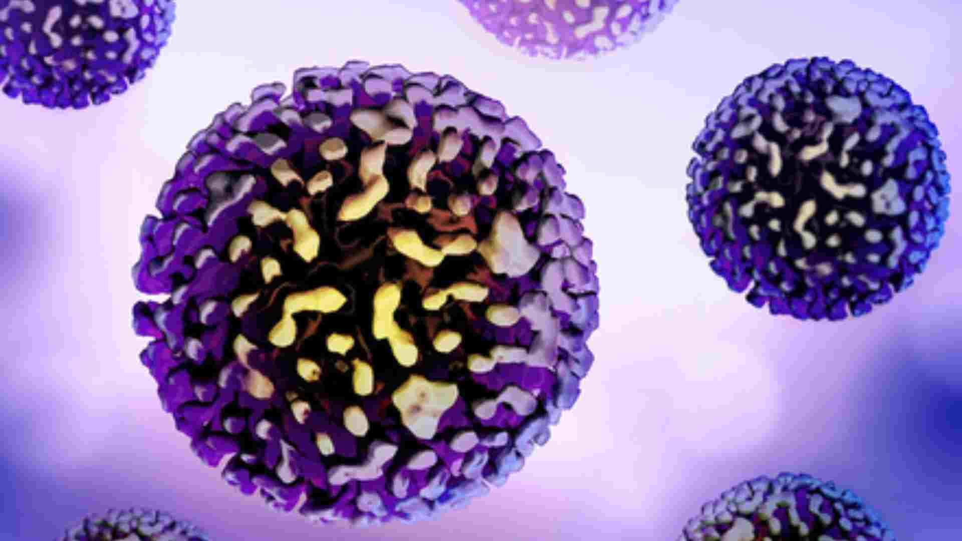 Hepatitis B: Enhance Screening, Vaccination To Fight Stealthy, Silent Virus, Say Experts