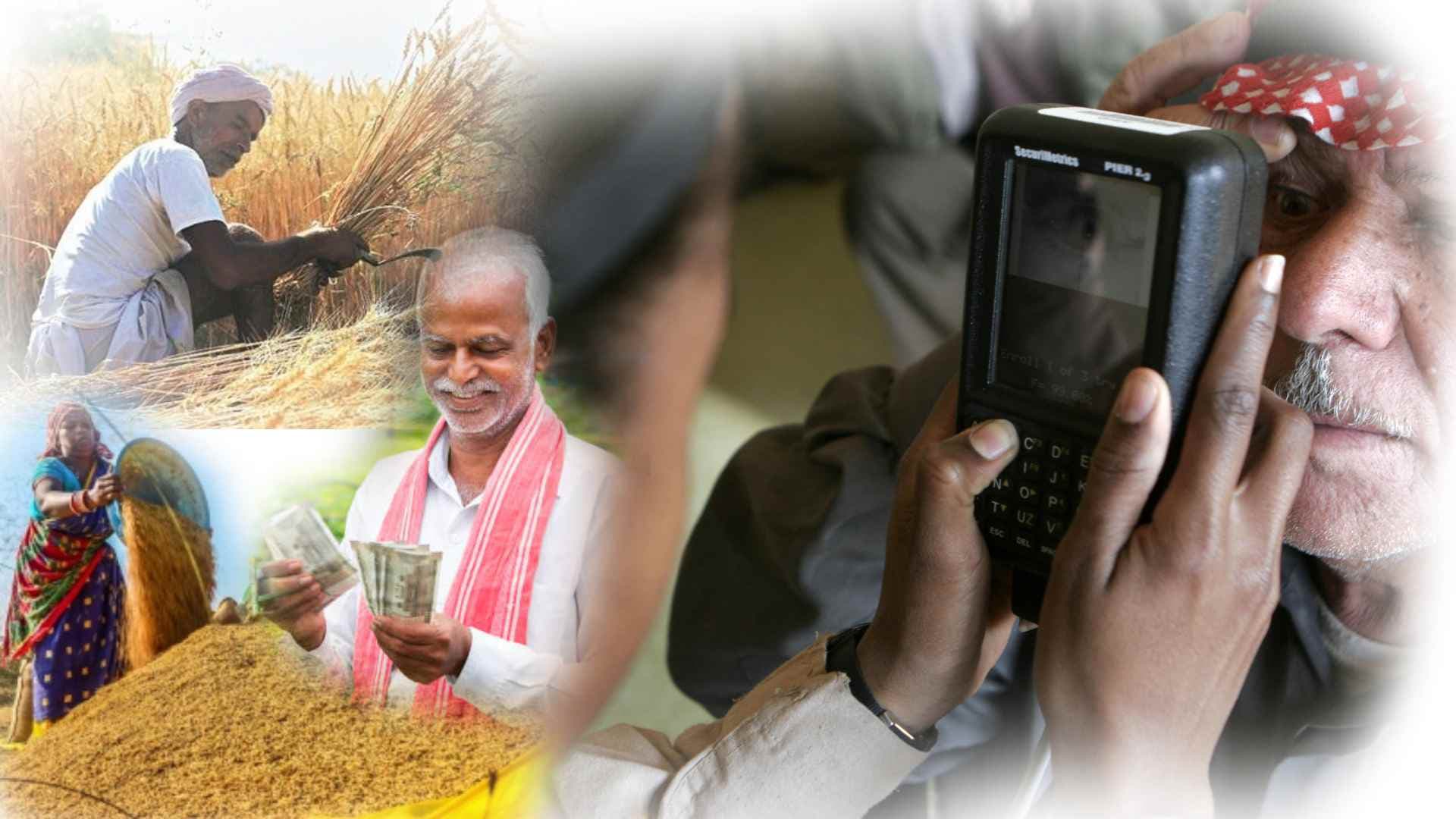 Iris Scanner Crisis Disrupts Paddy Procurement Registration in Odisha