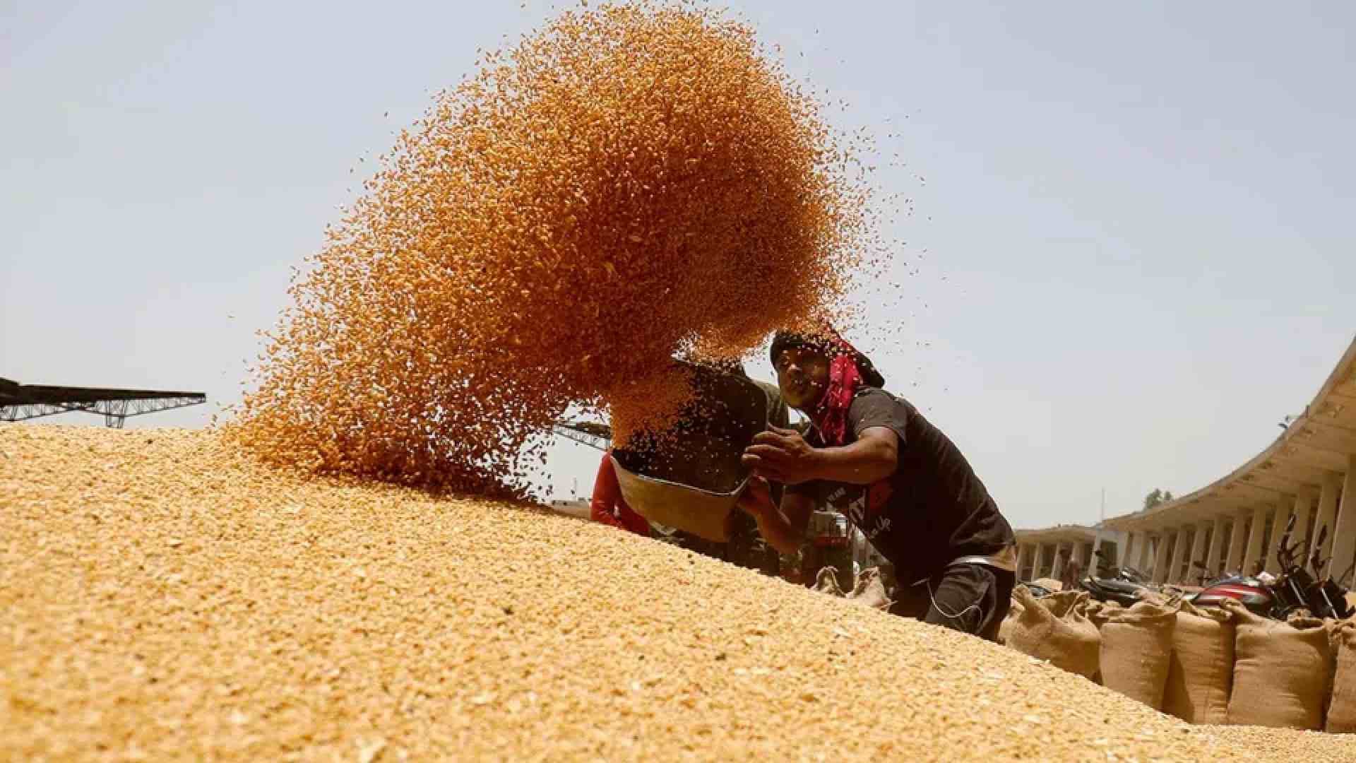 Odisha Food Supplies Minister Assures Swift Resolution to Rice Procurement Issues