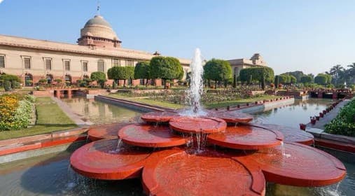 Amrit Udyan To Welcome Visitors Or Summer Annuals From August 16 To September 14