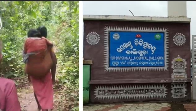 No Roads: Odisha Girl Carries Snake-Bitten Mother For 5Km, Fails To Save Her