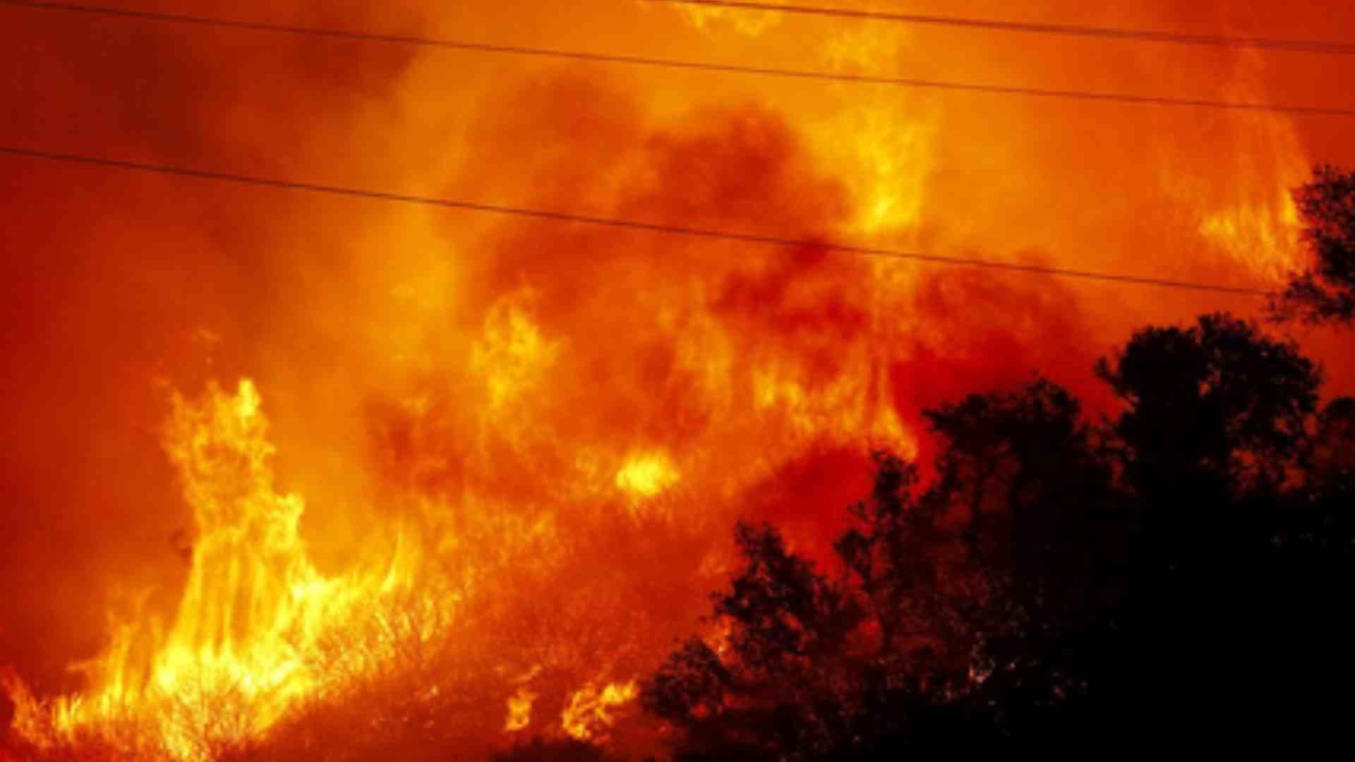 Wildfire Continues To Rage Across US Grand Canyon National Park