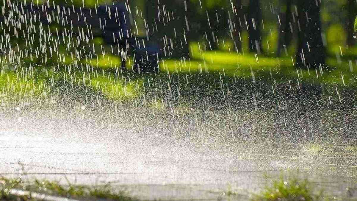 Several Districts To Witness Rainfall Activity Till Aug 8, Yellow Alert Issued For 20 Places