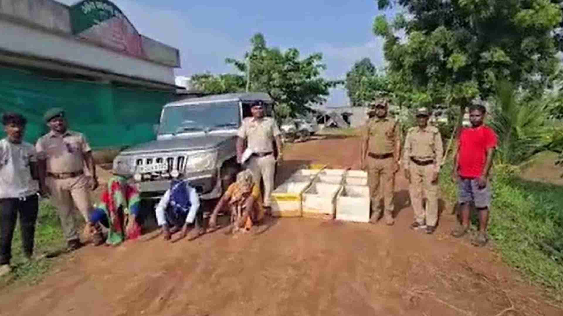 Major Smuggling Racket Busted: Over 1,000 Turtles Rescued In Malkangiri, Three Held