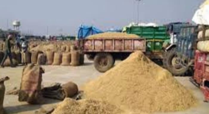 Odisha Govt Extends Farmer Registration Deadline For Kharif Paddy Procurement