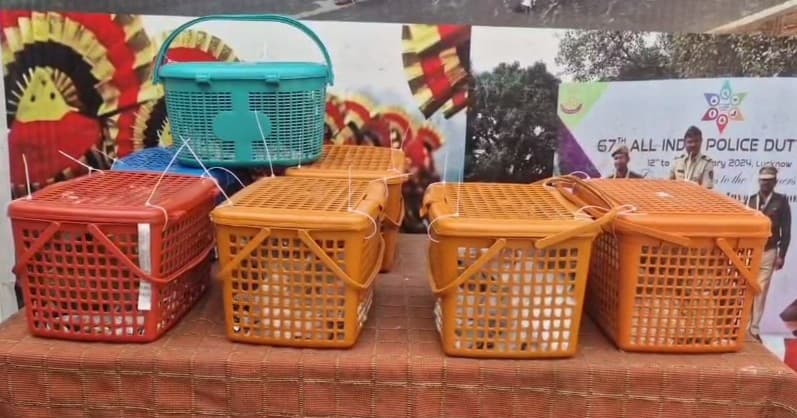 20 Persian Cats Rescued At Brajrajnagar Station In Odisha; Couple Detained