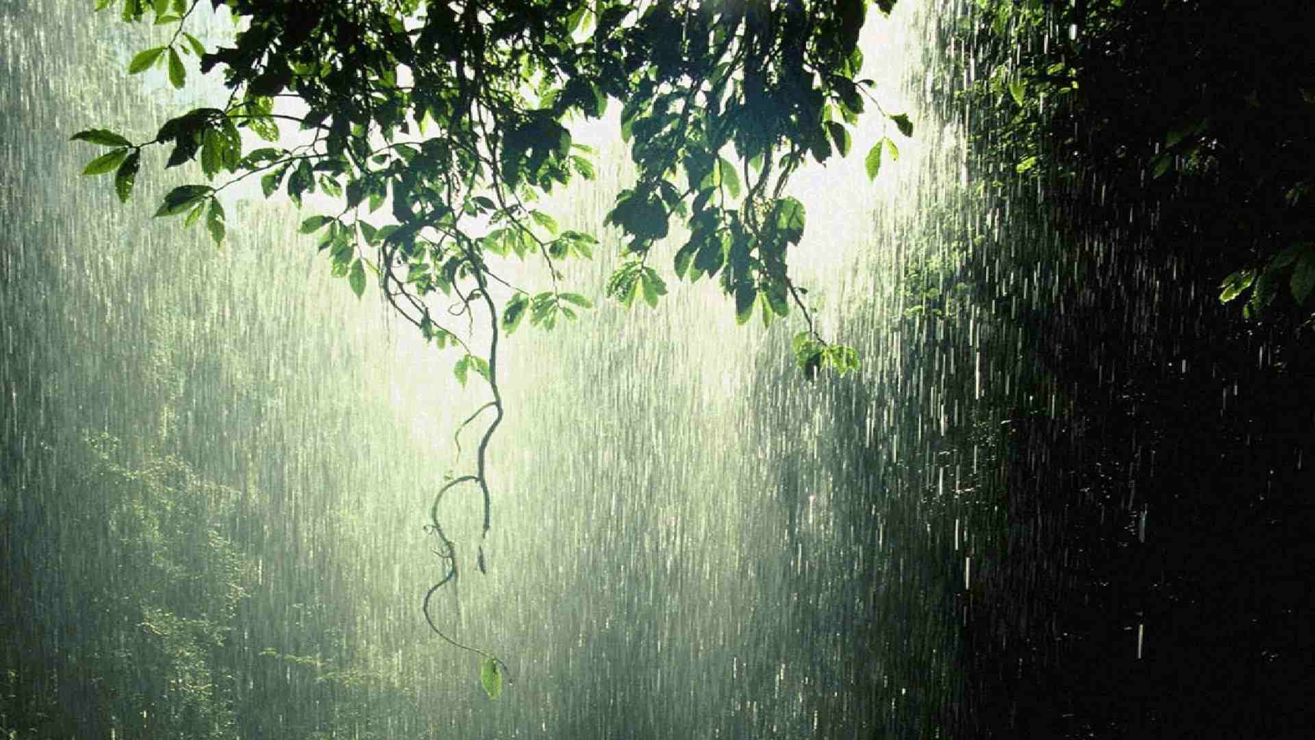 Odisha Weather Alert: IMD Warns of Intense Rainfall in 3 Districts as Low Pressure Deepens