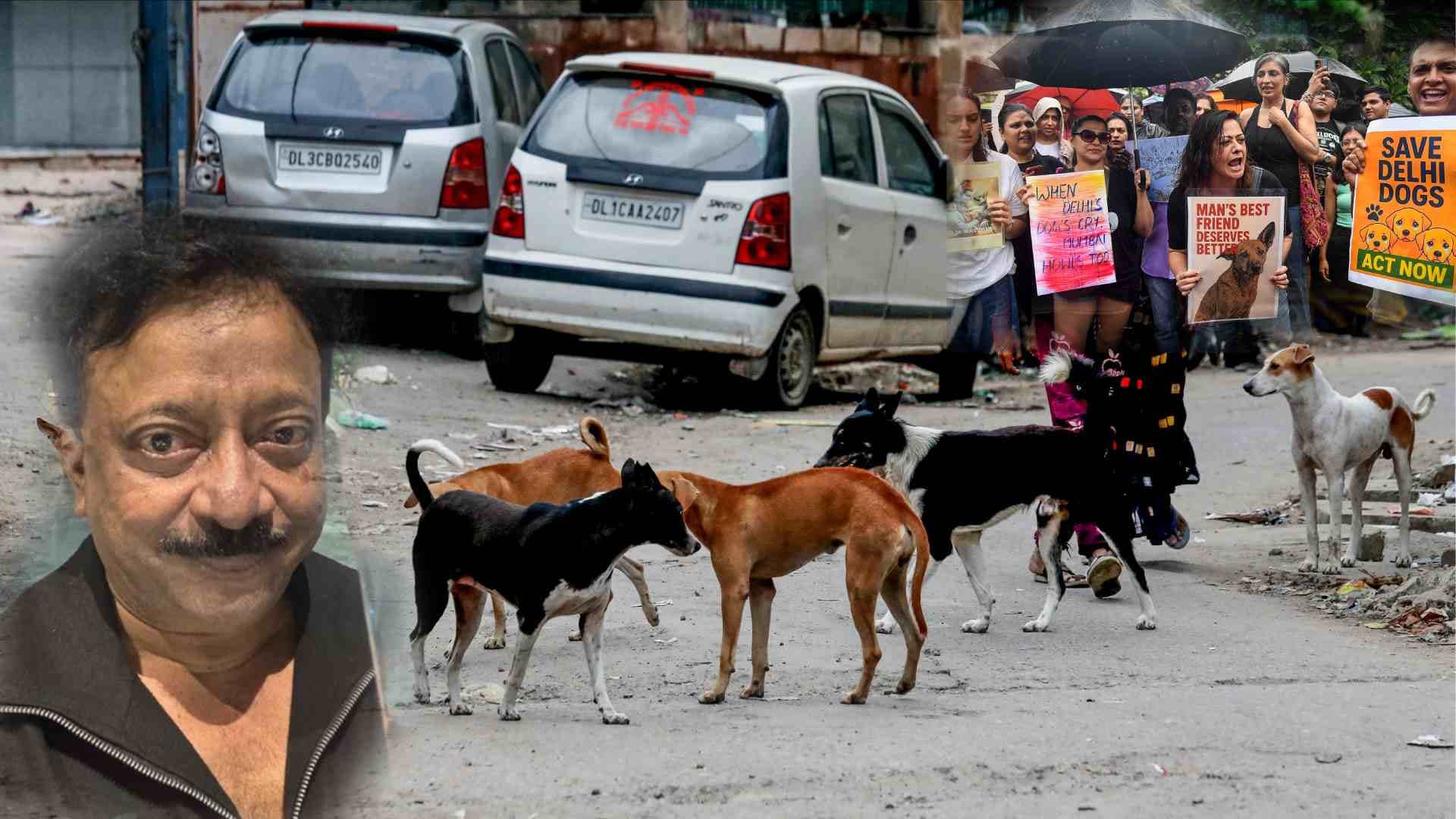 If Dog Lovers Care So Much, Let Them Open Their Guest Rooms For Strays: Director Ram Gopal Varma