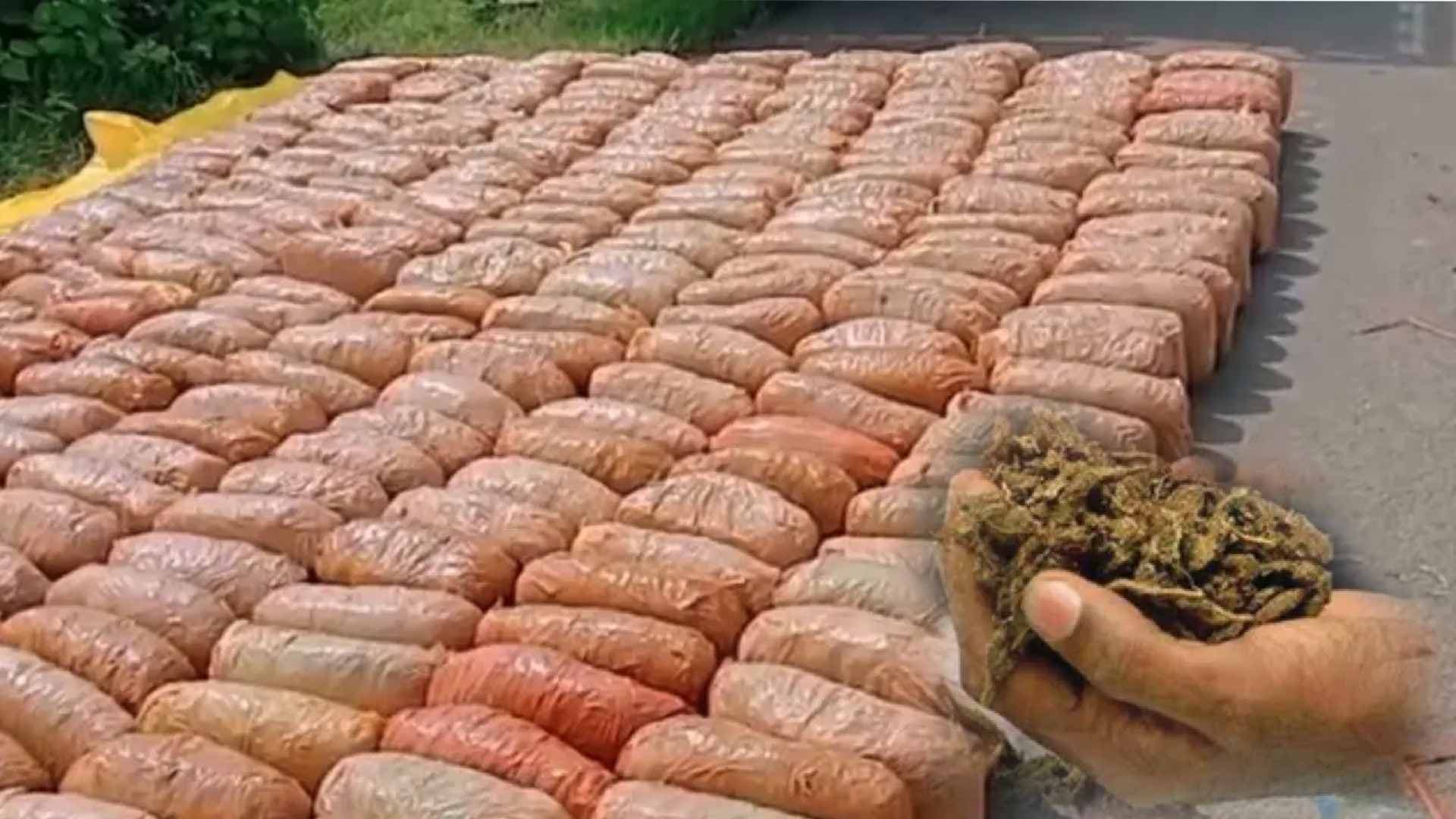 Operation Garuda: Odisha Police Seize 7 Quintals of Ganja in Sonepur
