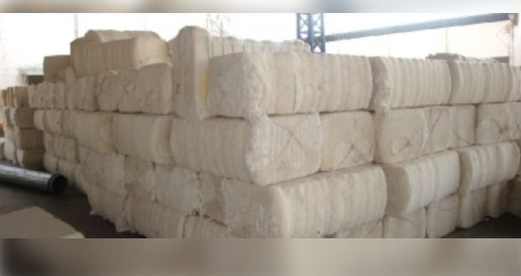 Govt Exempts Cotton Imports From Customs Duty On Till Sep 30 To Boost Textile Sector