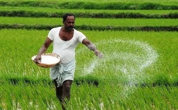 Odisha Extends Farmer Registration Deadline For Paddy Procurement To August 25