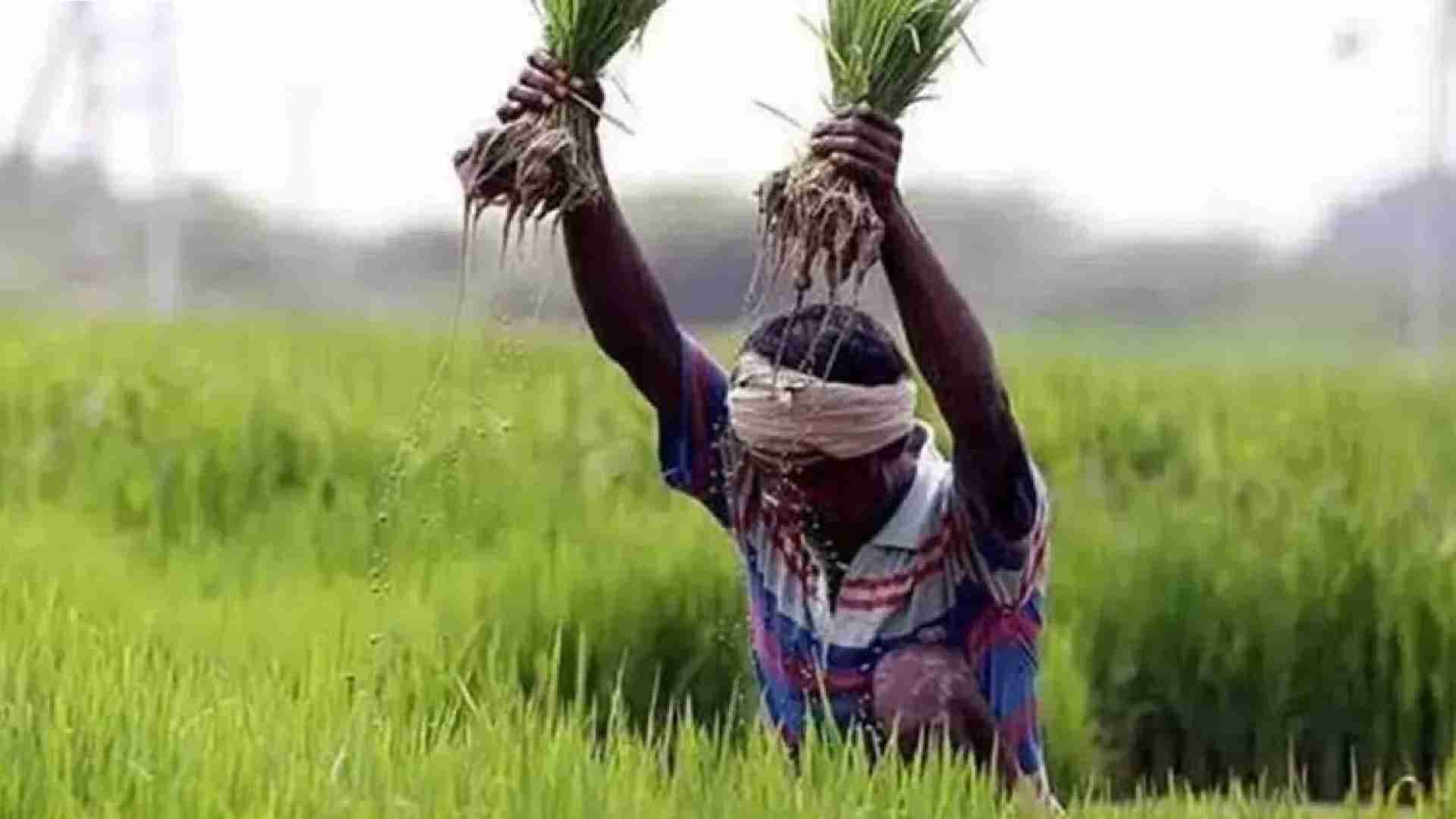 CM Kisan Yojana: 51 Lakh Farmers To Receive Third Installment Today