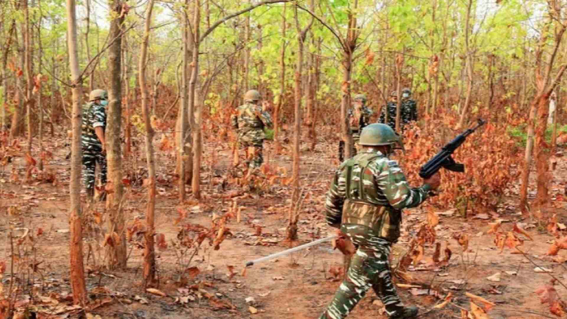 Four Maoists Killed in Fierce Border Encounter Near Gadchiroli