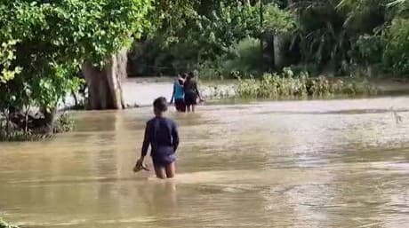 Flood Woes Persist in Odisha Despite Receding River Levels; Over 20,000 Affected