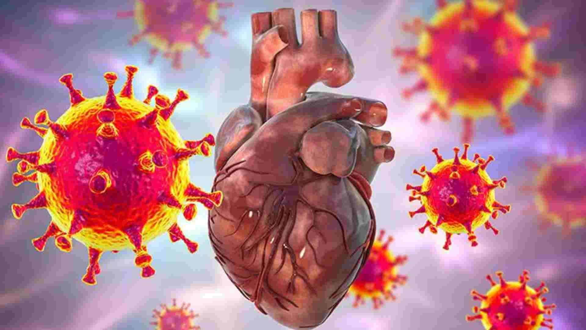 Study Shows Bacterial Infections Trigger Heart Attacks