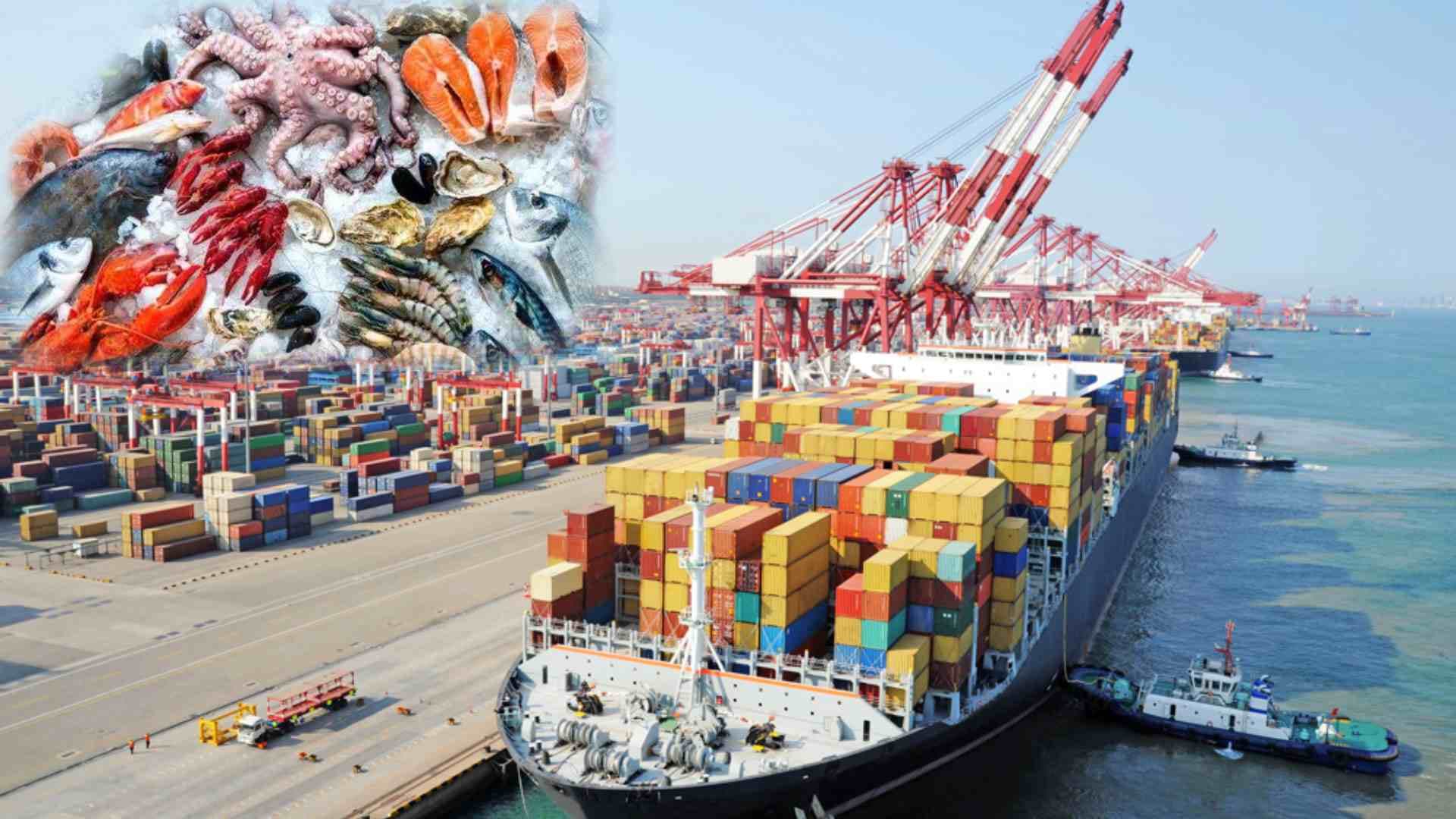 India’s Marine Units Get EU Green Light for Export