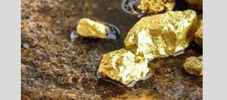Nearly 2,000 kg Gold Found In Odisha's Two Districts, Says Minister Bibhuti Jena