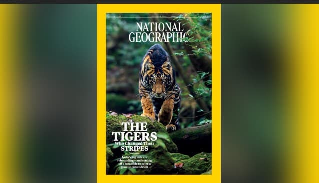 Similipal’s Rare Black Tiger Graces National Geographic Cover, CM Majhi Applauds