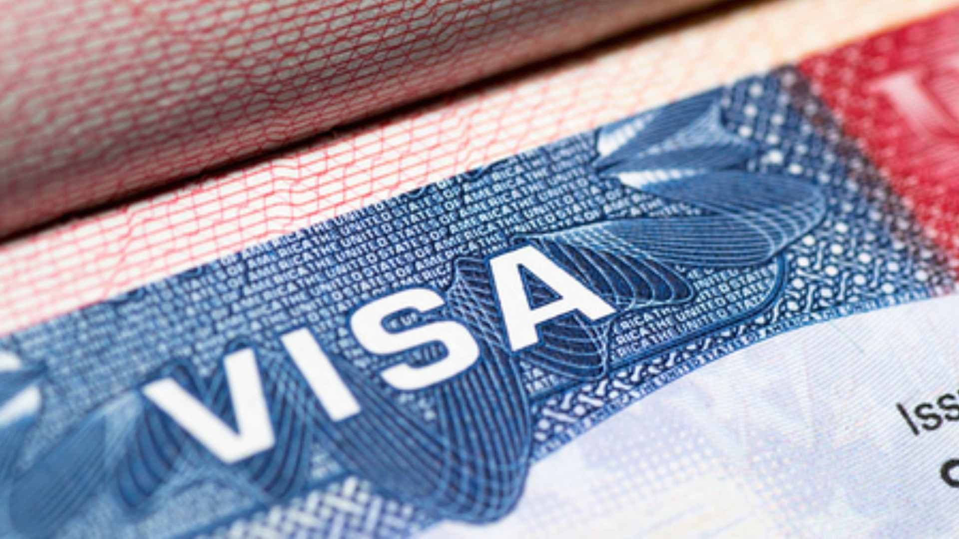 H-1B Visa Fee Hike to Cut Indian IT Firms’ Margins by Just 10-20 Bps, Revenue to Grow 2-4 pc