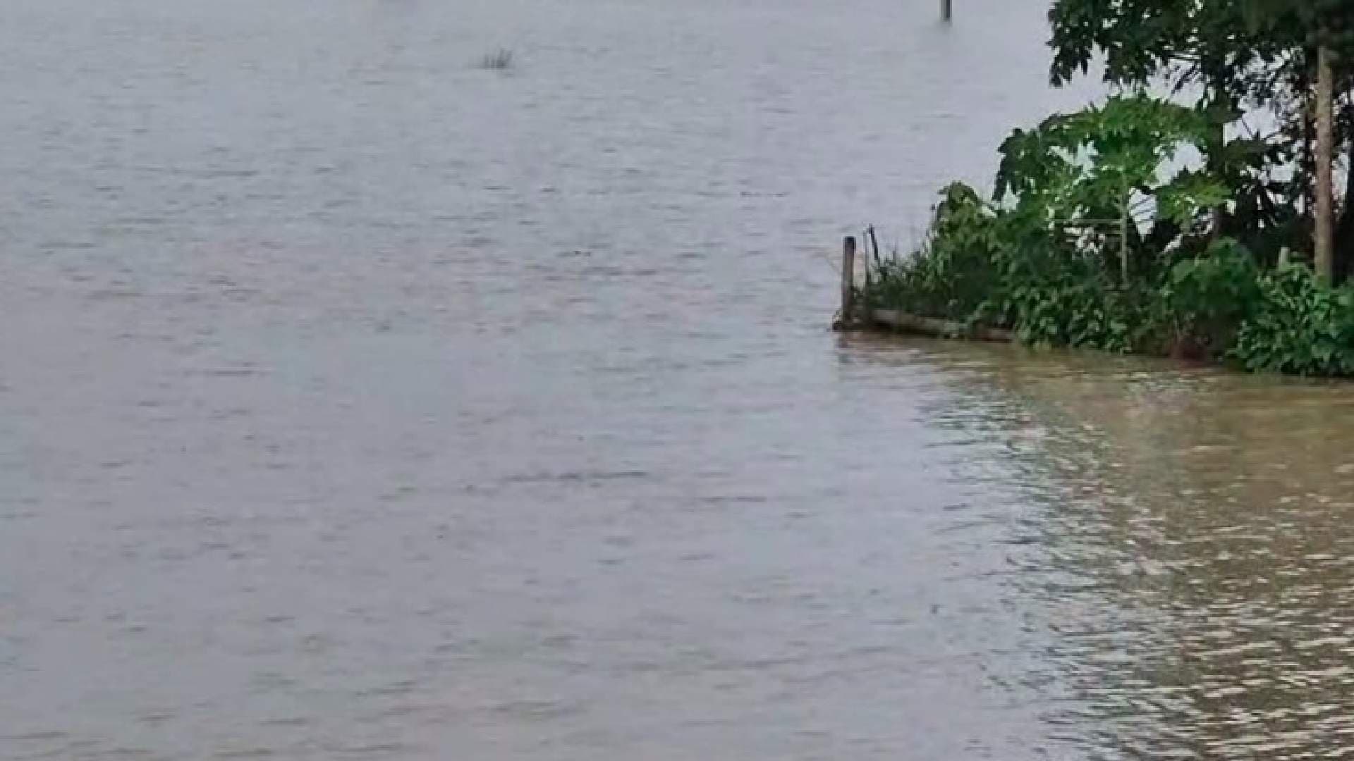 No Flood Threat in Odisha as Rainfall Declines
