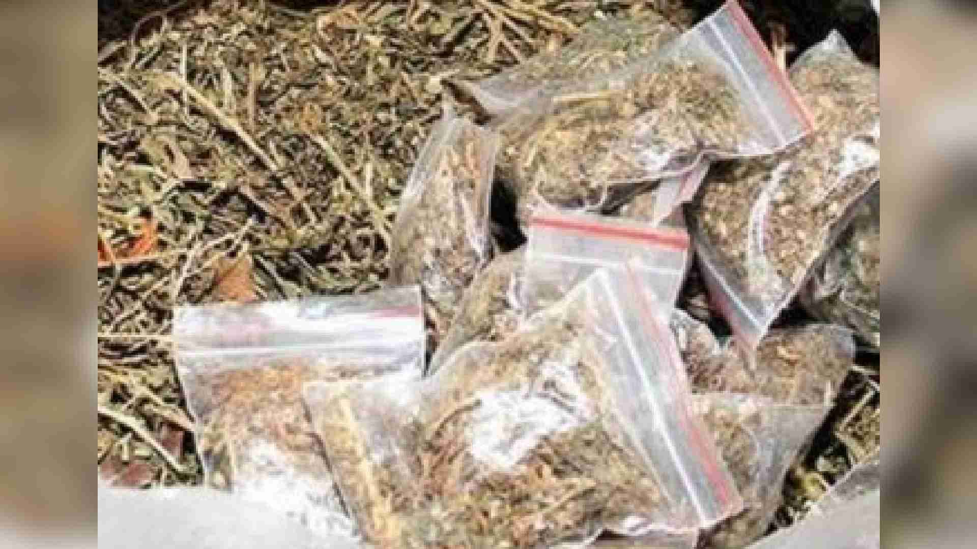Bihar Youth Arrested With 30 Kg Ganja At Bhubaneswar Railway Station
