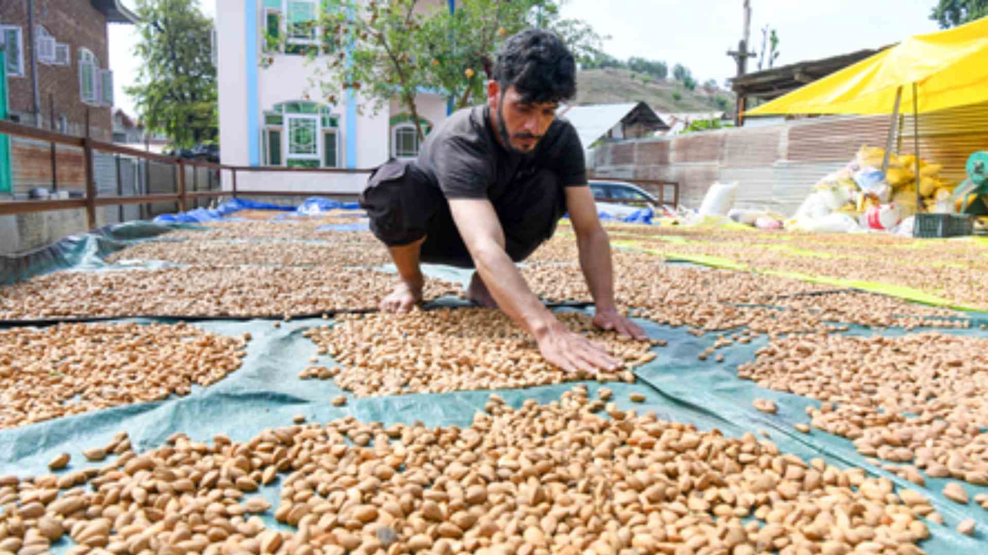 From Handicraft to Tourism, GST Rejig to Boost J&K’s Economy