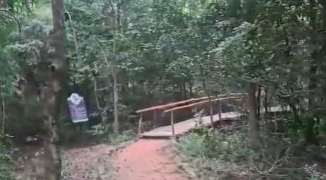 Odisha: Birding Trail Begins At Debrigarh Wildlife Sanctuary