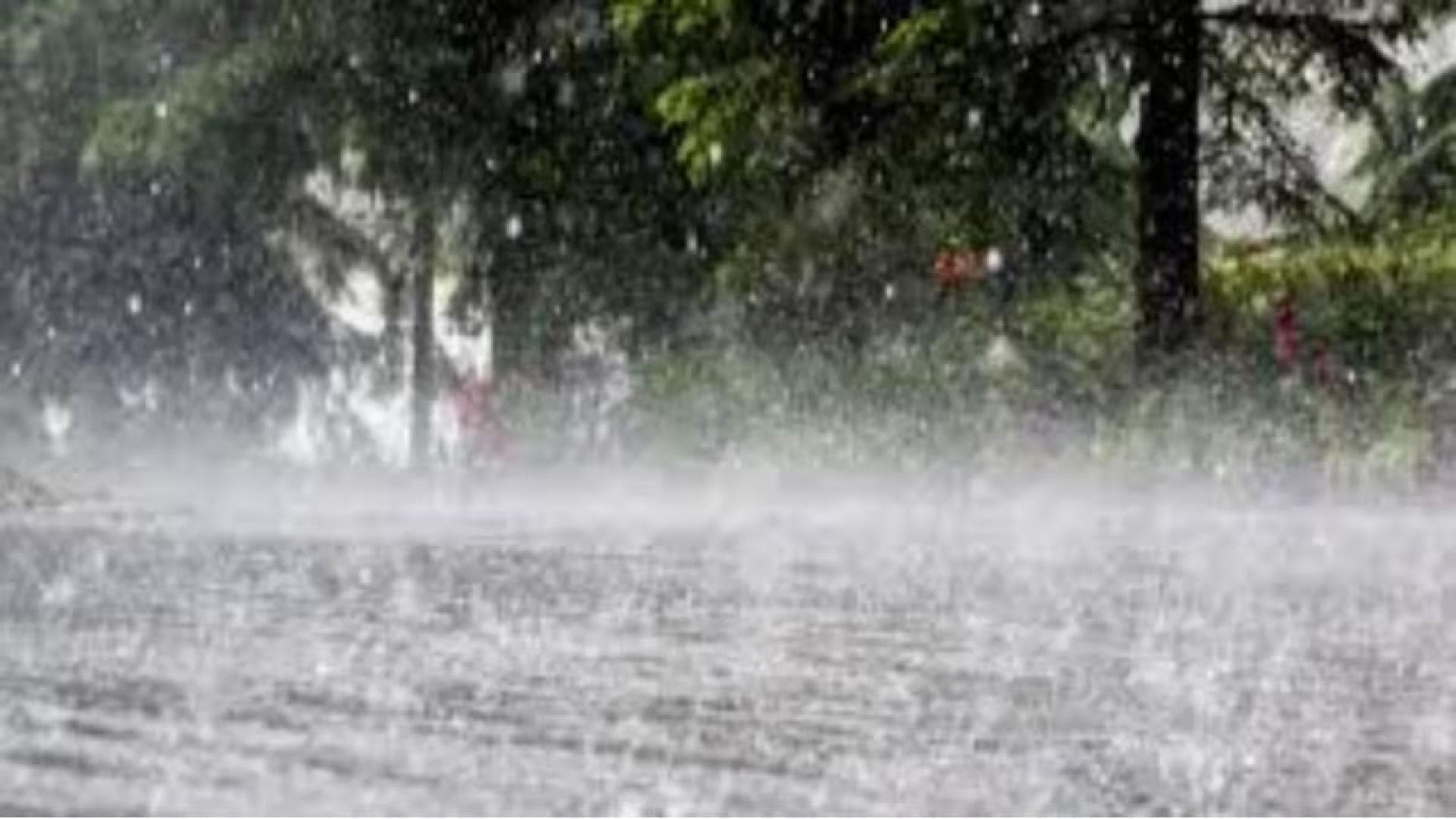Cyclone Montha Weakens, Odisha Records Heavy Rain in Several Districts