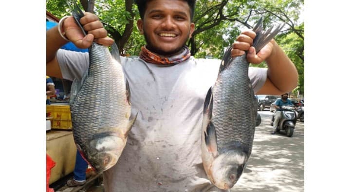 Punjab Govt Declares Rohu As State Fish