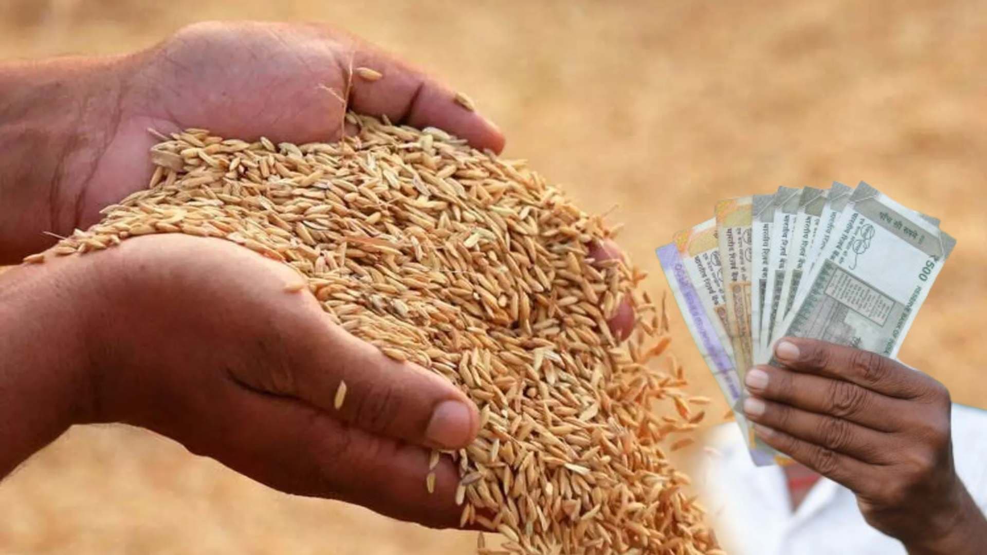 Paddy MSP Hiked as Farmers to Get ₹69 More Per Quintal