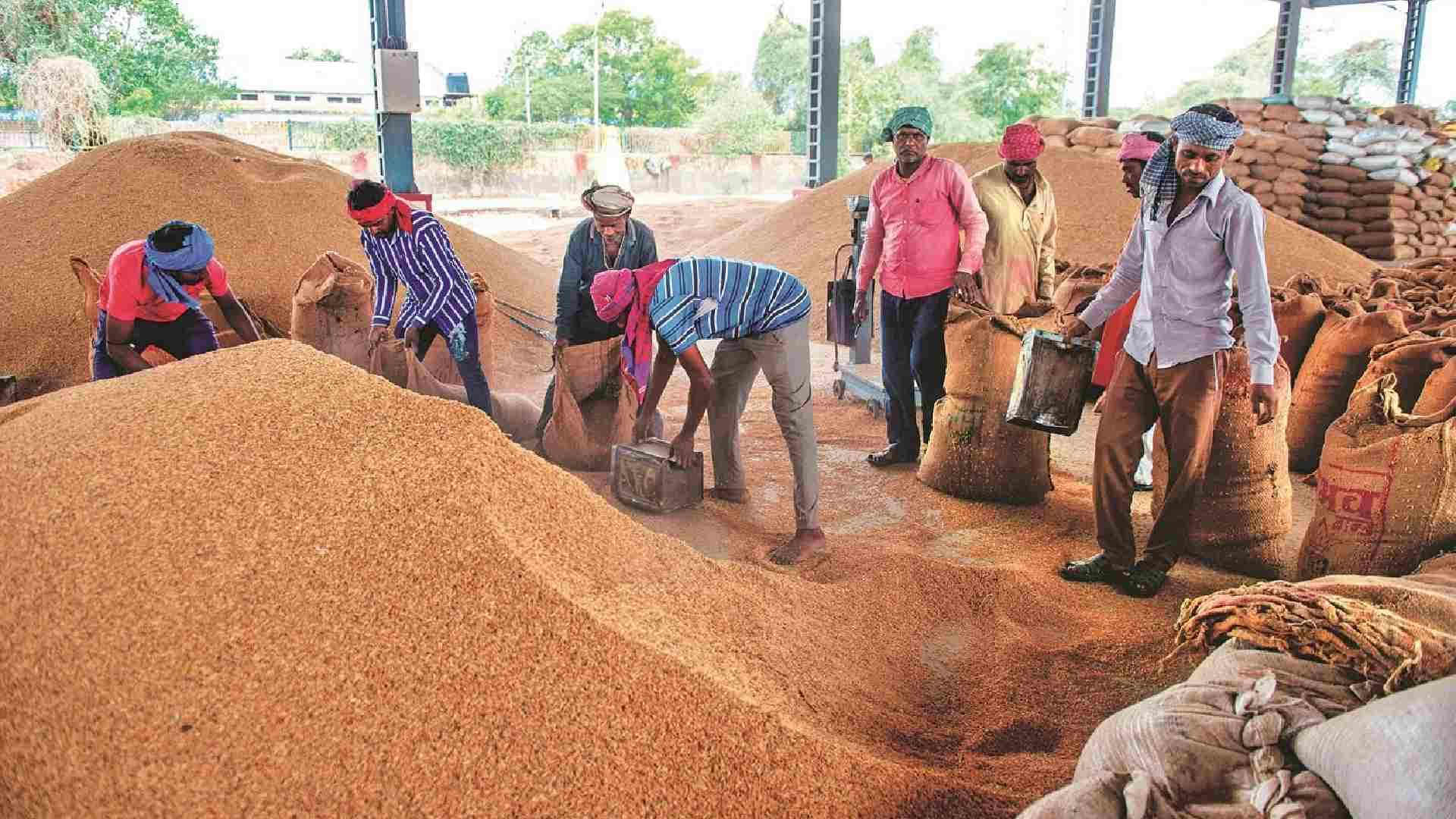 Odisha to Start Kharif Paddy Procurement from November 20