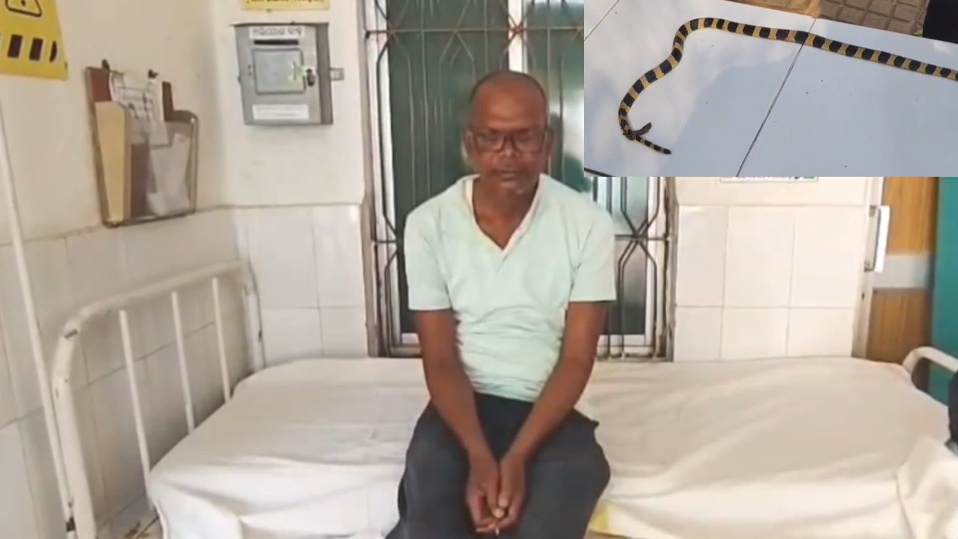 Odisha Man Bitten by Deadly Snake, What He Takes to Hospital Stuns Doctors