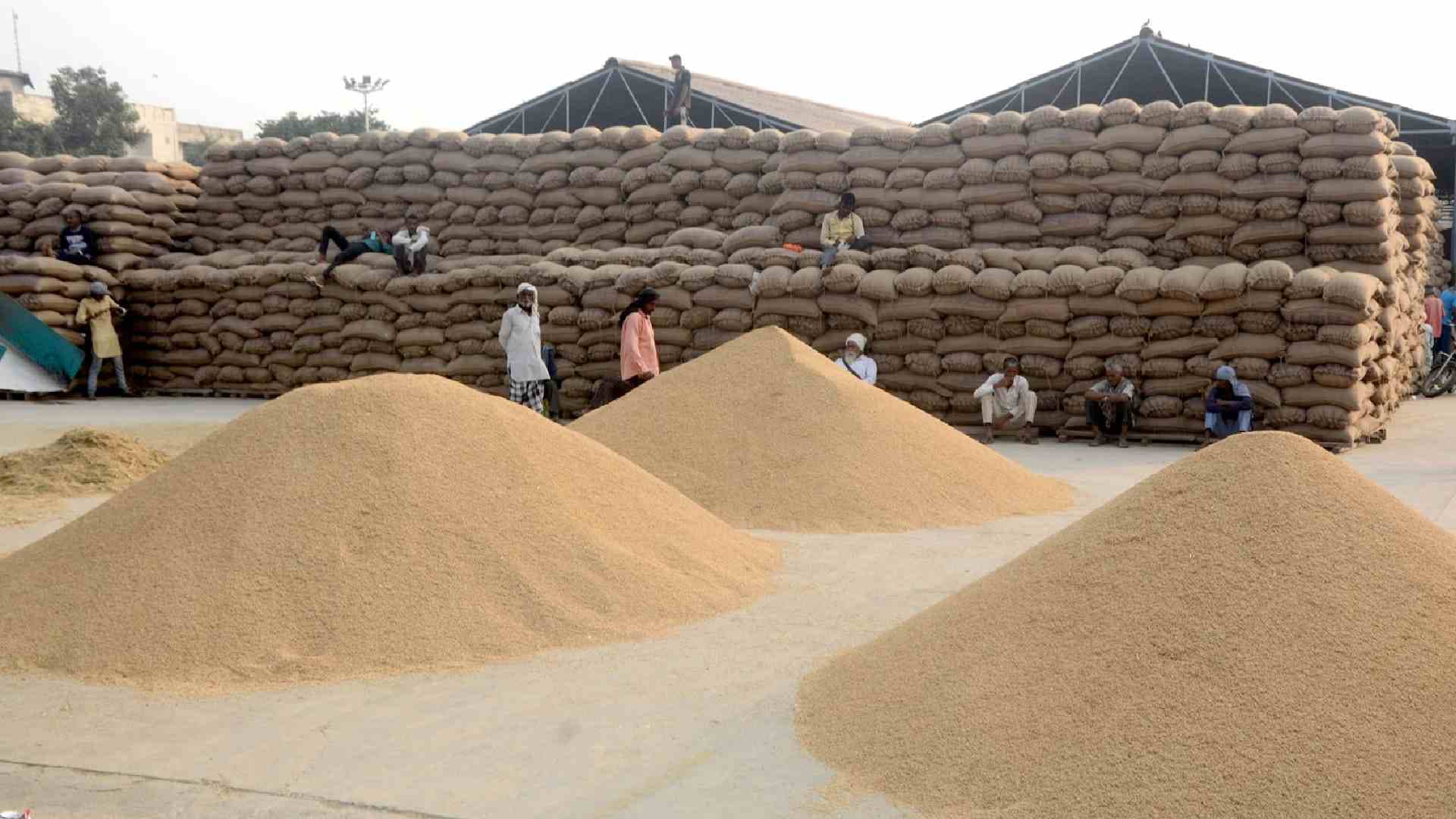 Odisha to Begin Paddy Procurement Tomorrow with Higher Target