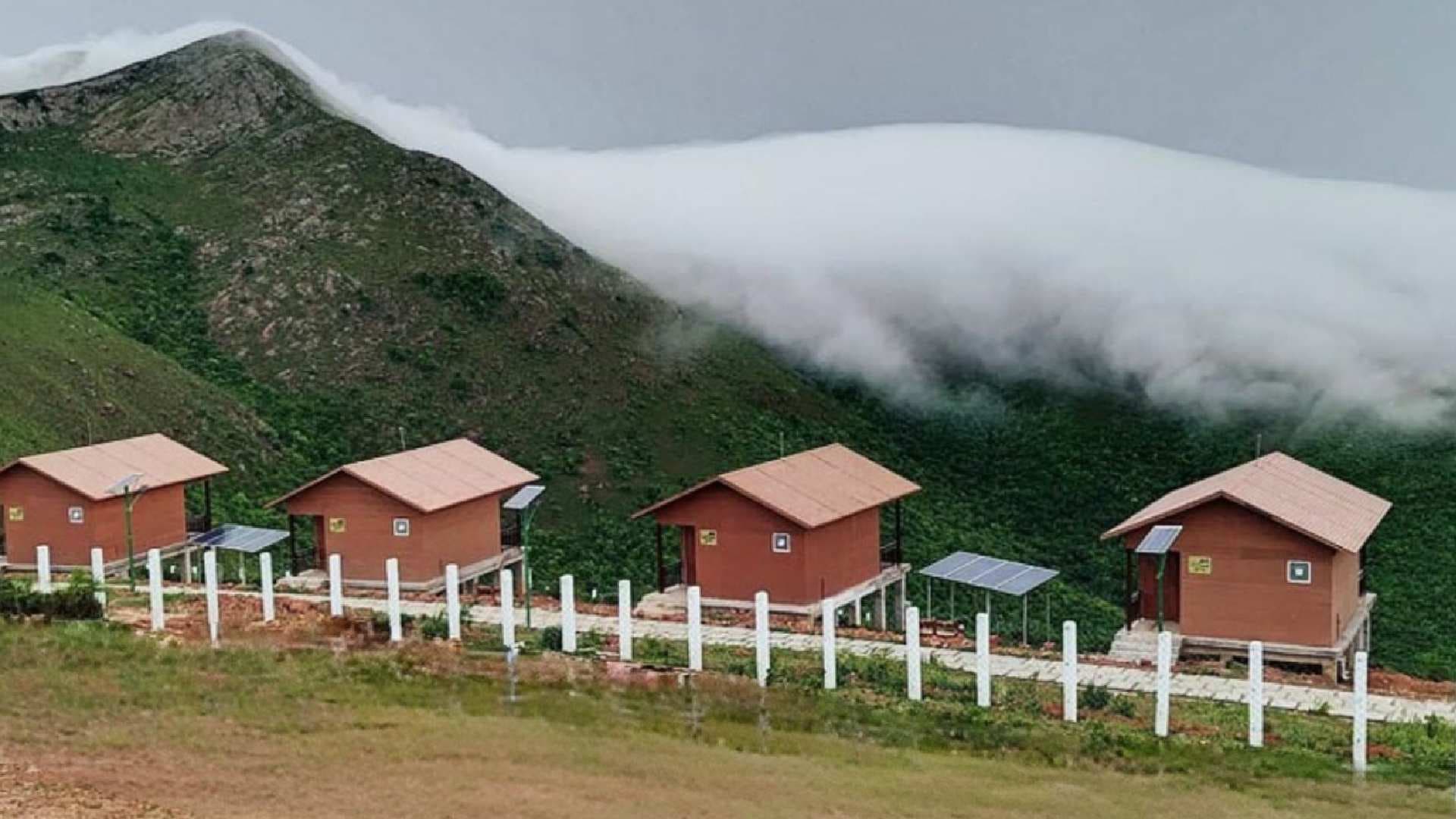 Winter Escapes in Odisha: Explore Hidden Gems, From Misty Mountains of Deomali to Sun-Kissed Beaches in Talsari