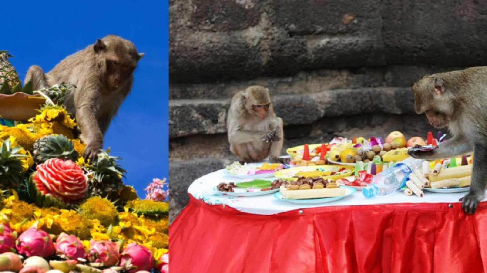 Inside World's Wildest Party Where Monkeys Have Buffet And It Has a Ramayana Connection