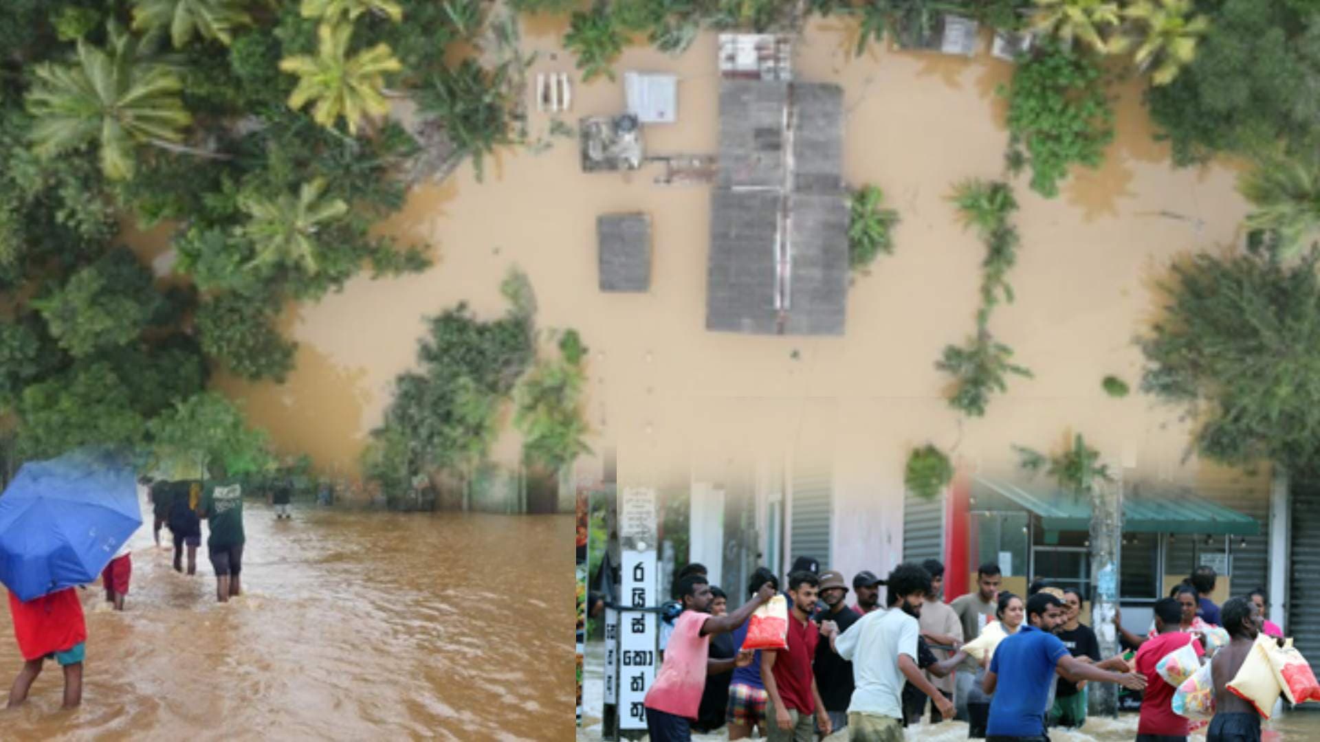 Twin Cyclones Senyar and Ditwah Wreak Havoc Killing Over 1000 Across Indian Ocean Region