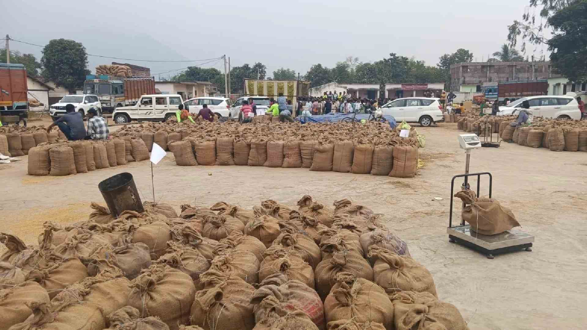 Paddy Procurement Begins in Nuapada as Mandi Opens Today