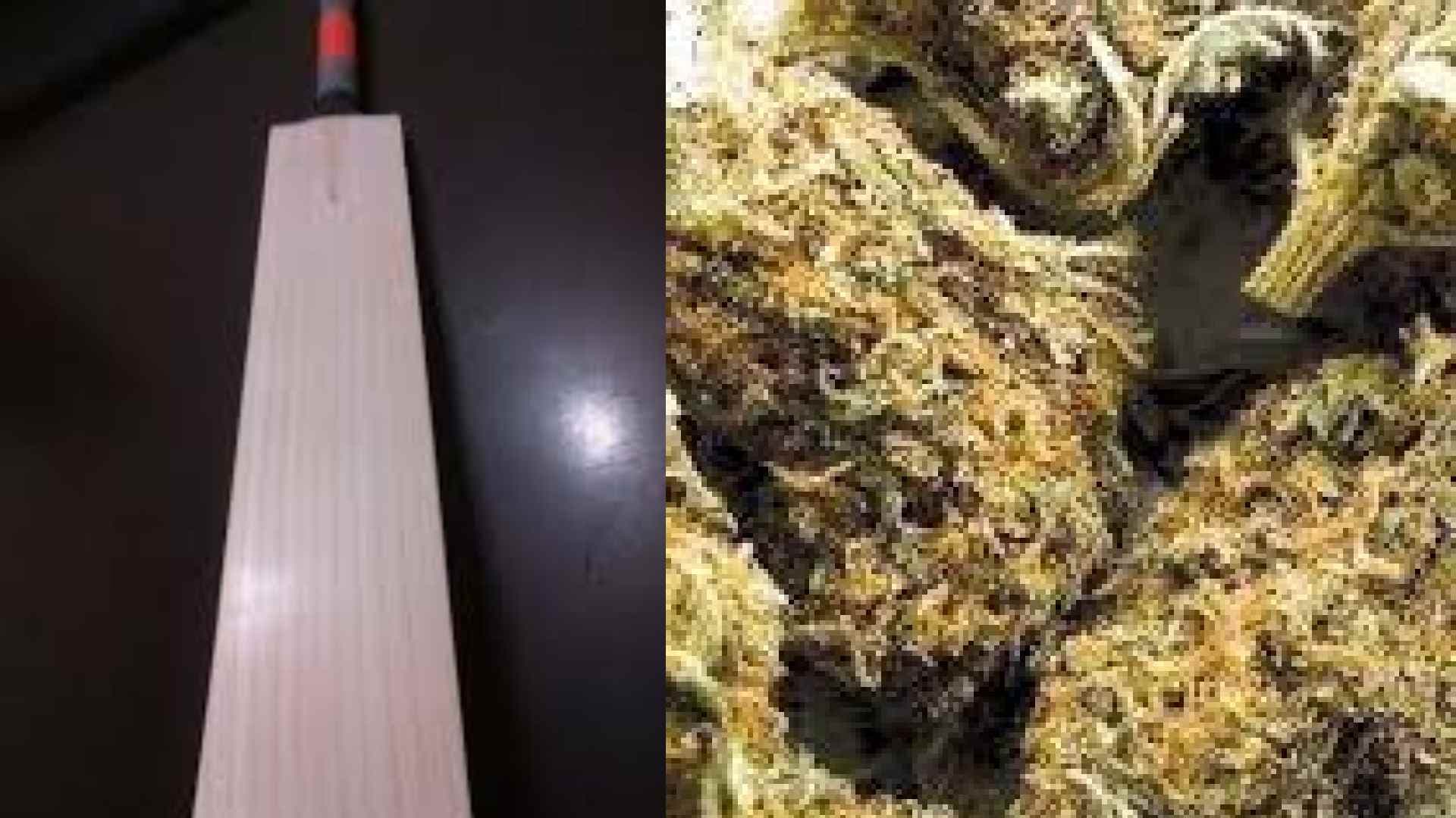 Drug Traffickers Use Cricket Bats to Smuggle Ganja, Arrested in Odisha