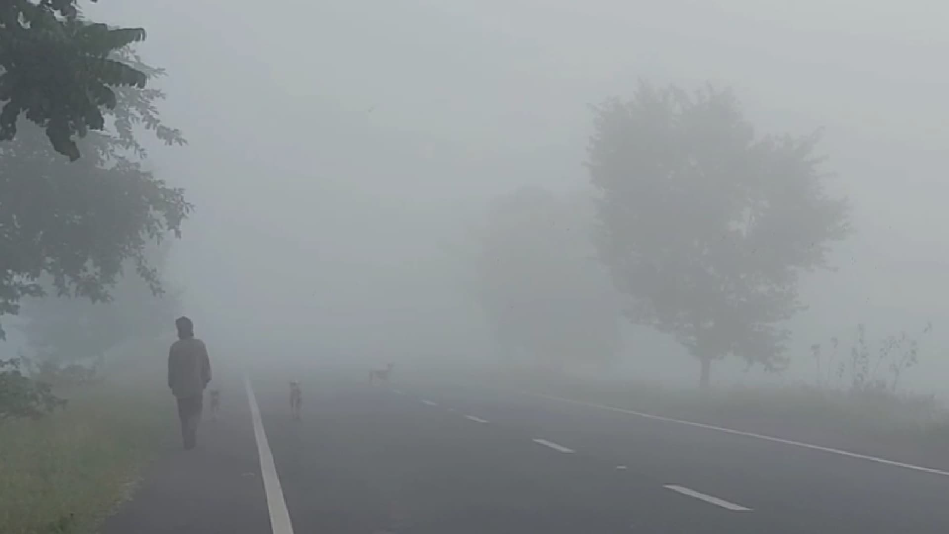 Odisha Braces for Dense Fog as Cold Wave Conditions Set In