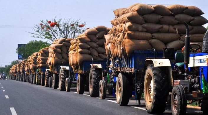 Odisha Tightens Vigil on Paddy-loaded Vehicles From Neighbouring States