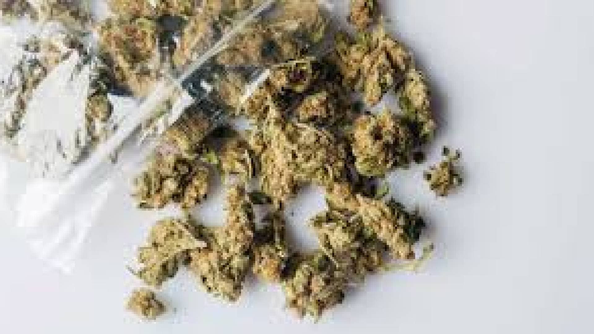Custom Officials Seize Rs 4 Crore Worth Marijuana at Bhubaneswar Airport