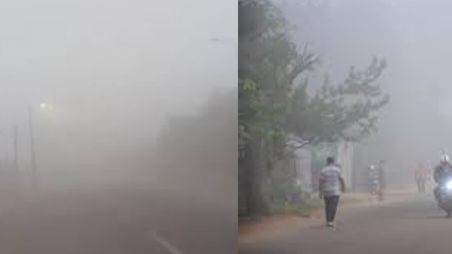 Odisha Braces for Persistent Fog, Cold Conditions for Next Three Days