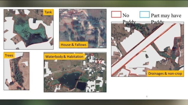 Odisha Adopts Satellite Imagery For Paddy Procurement Transparency