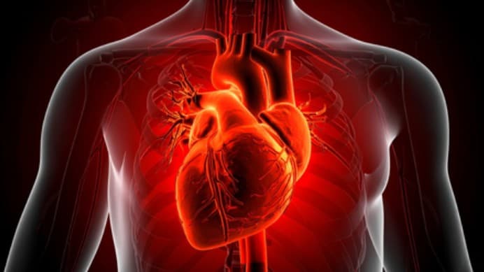 Study Shows Heart Disease Deaths Surge In Patients With Cancer