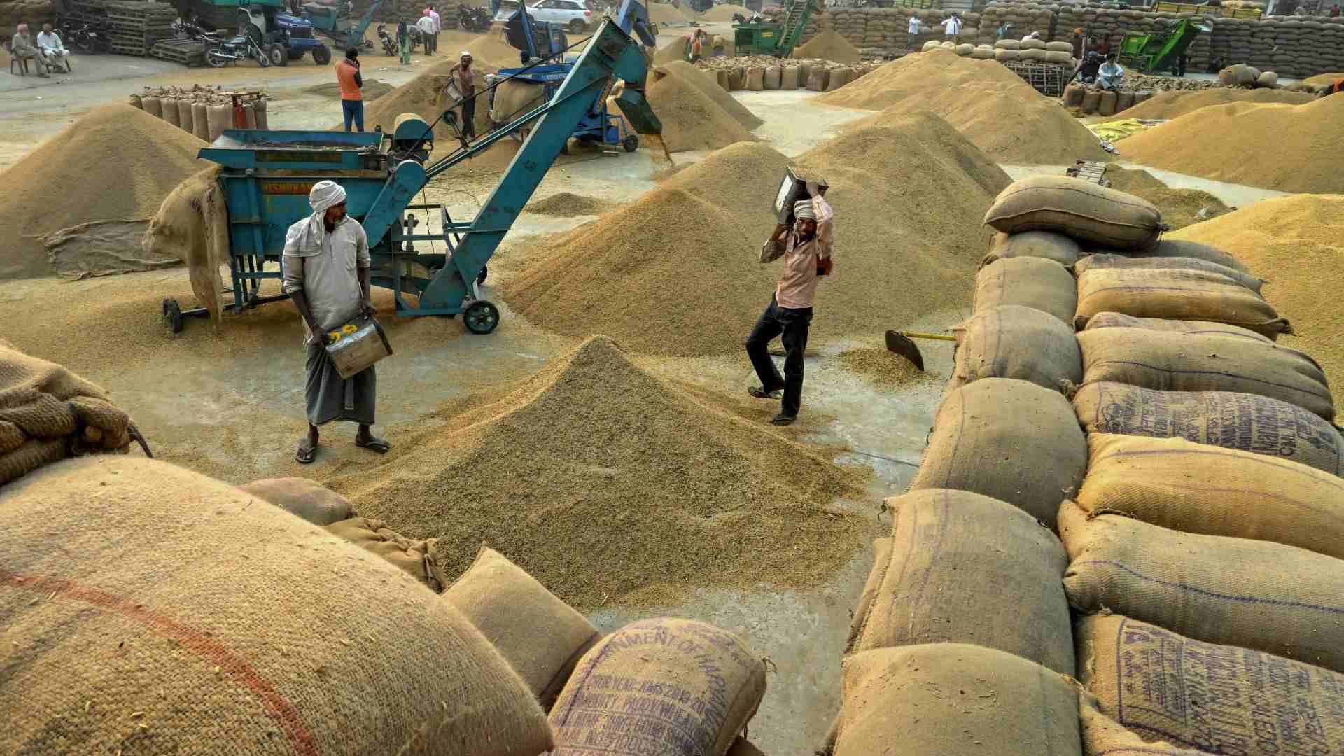 Paddy Procurement Begins Smoothly Across 19 Districts in Odisha