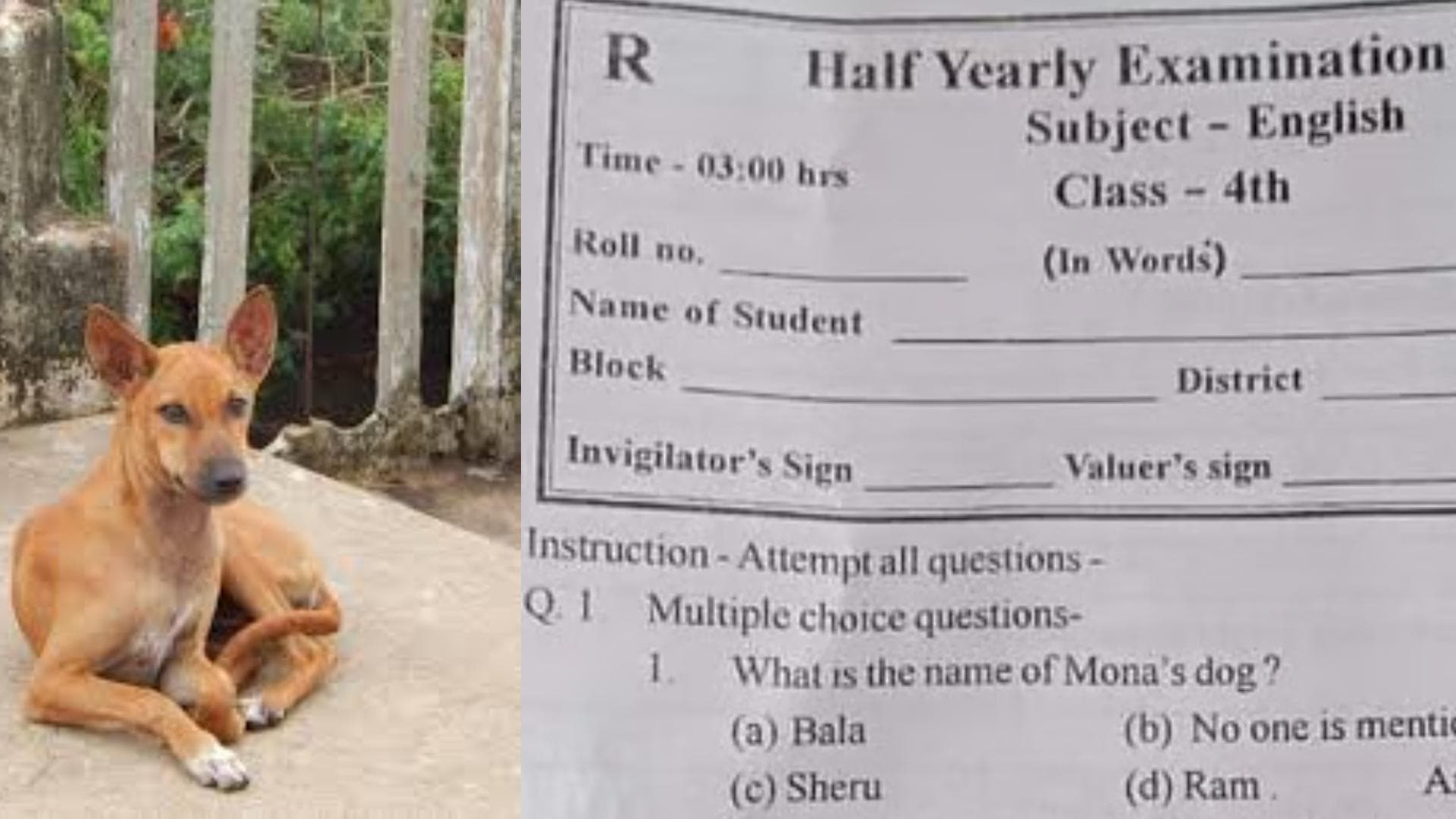 'Ram' as Dog's Name in School Question Paper Sparks Row in Chhattisgarh