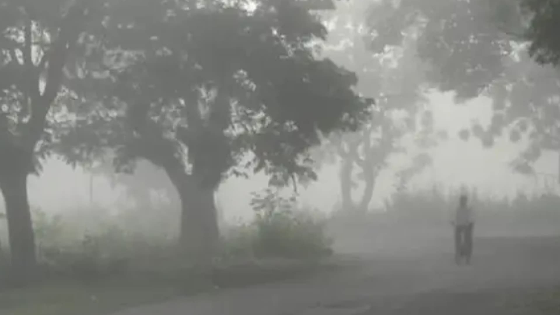 Temperature Dips across Odisha, Severe Chill to Continue Till January 17
