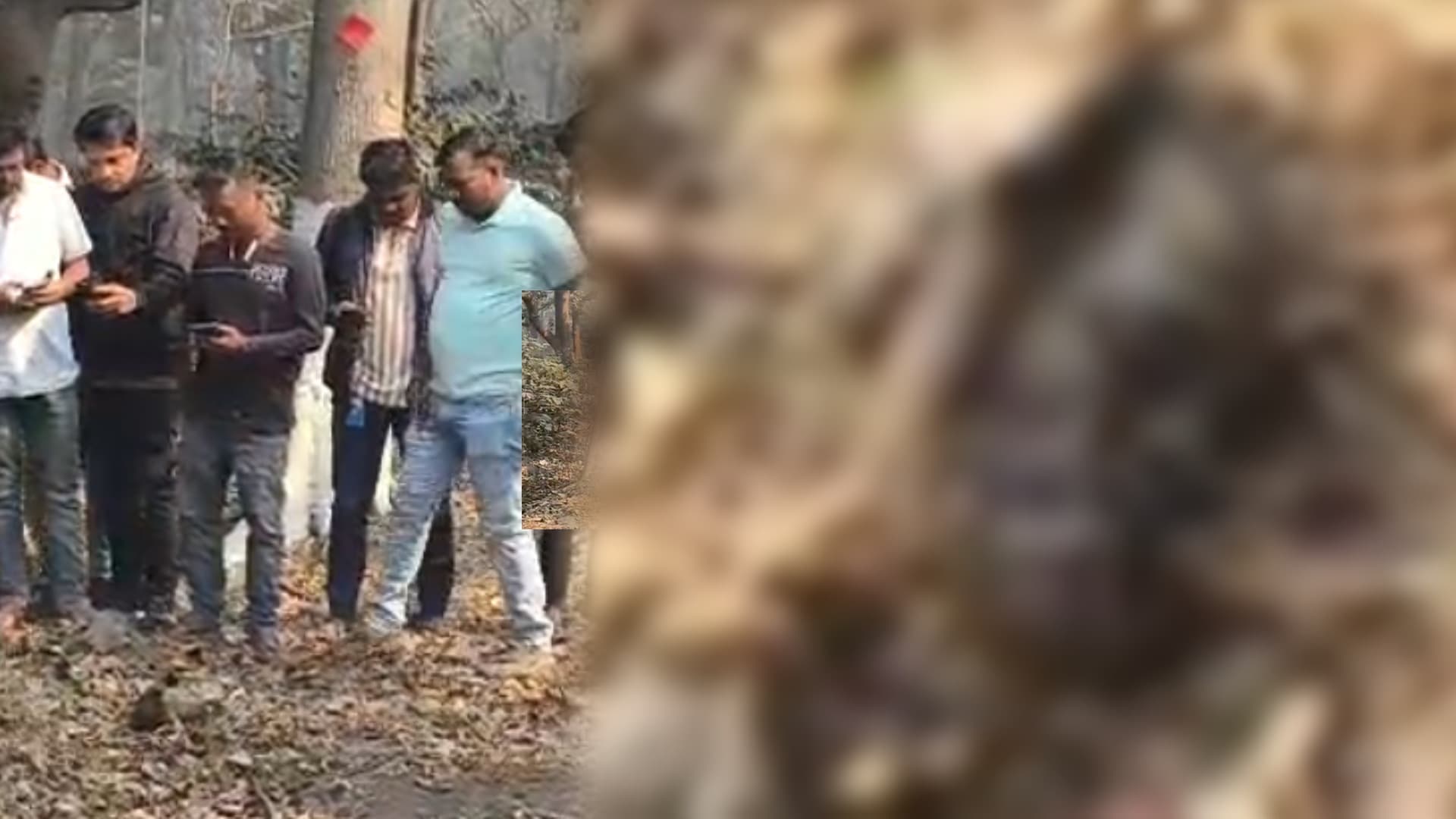 Panic in Talcher as Human Skull Spotted Near Government Hospital